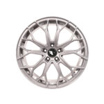 FF01 in Silber Glanz